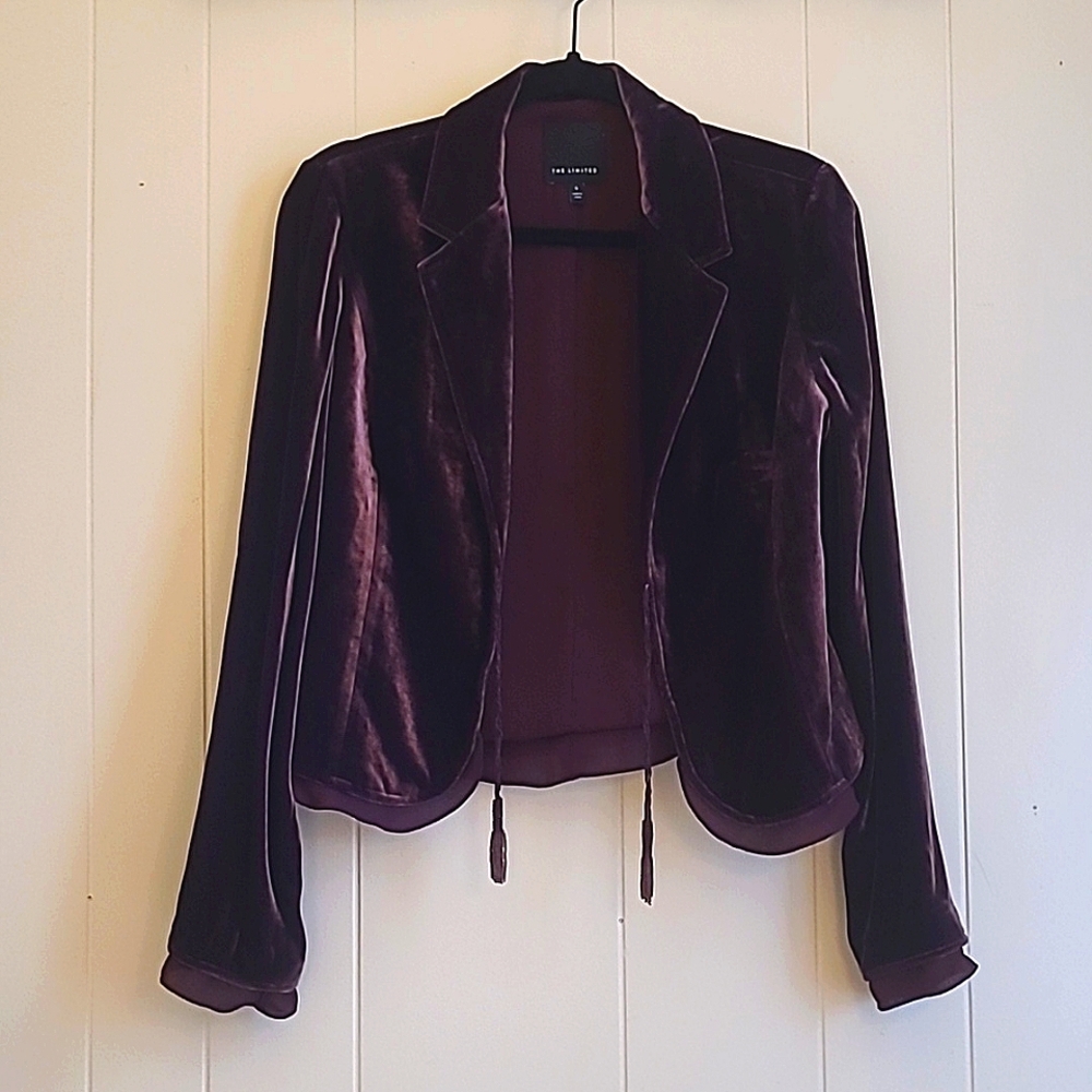 THE LIMITED Purple Velvet Blazer Size Small